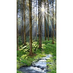 Multi - Sunny Forest 24in Panel
